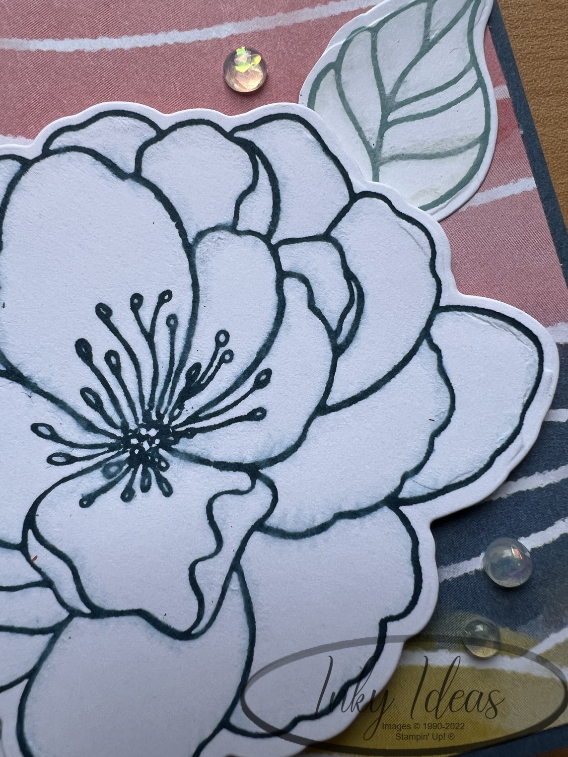 Painted Illusions Product of the Month Blog Hop