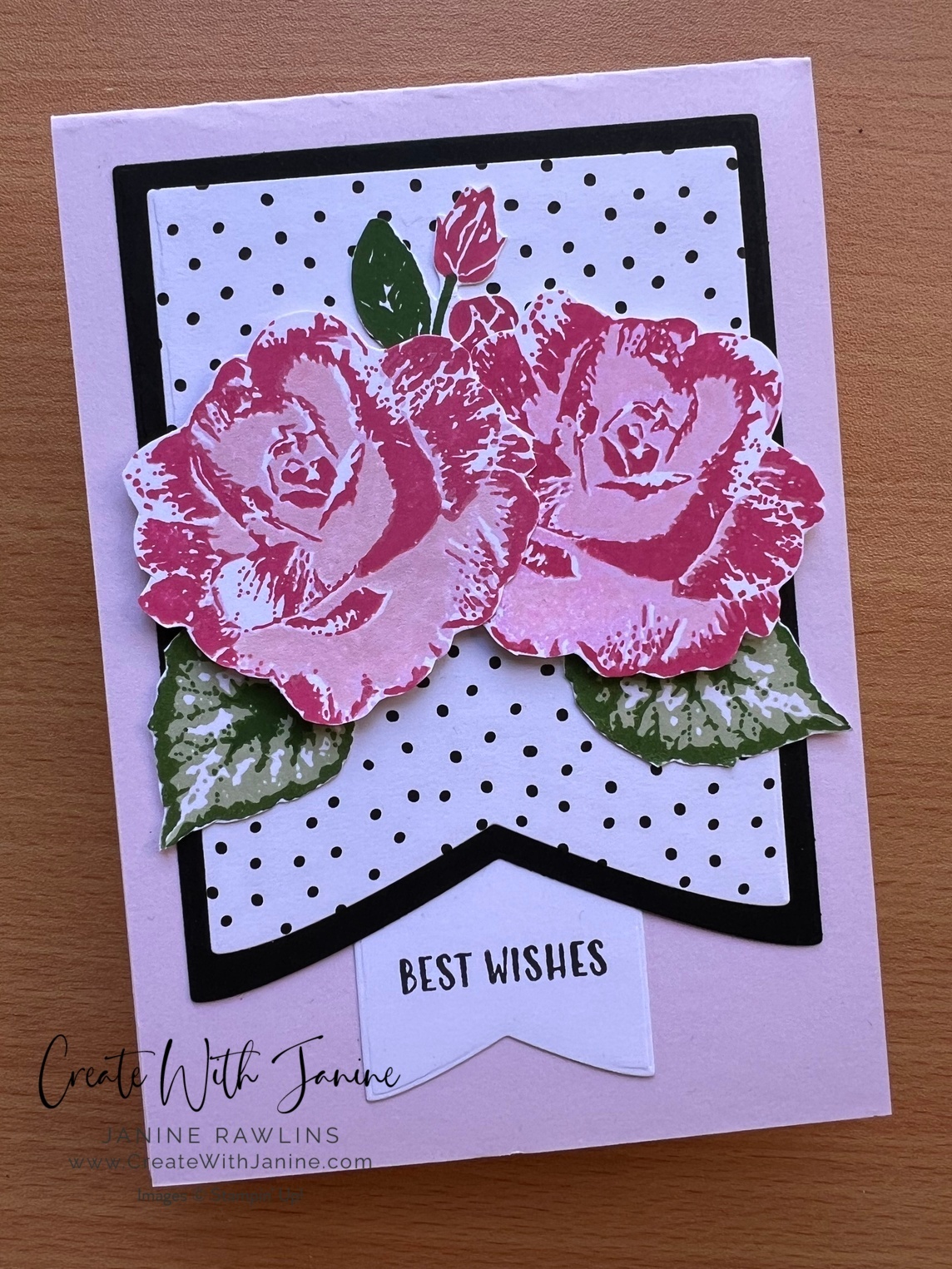 Begonia Belle Product of the month