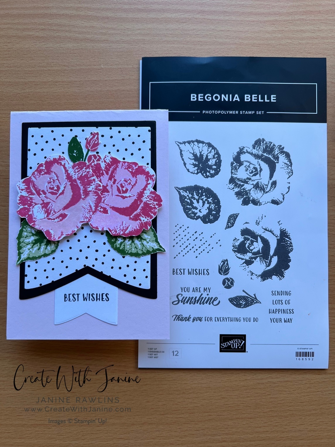 Begonia Belle Product of the month
