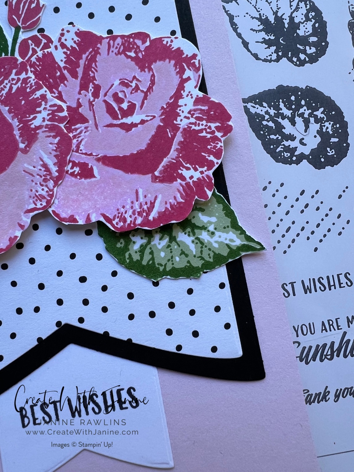 Begonia Belle Product of the month